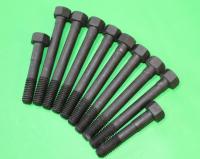 Head Bolt Set : 1.6 Crossflow