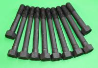 Head Bolt Set : 1.6 Crossflow