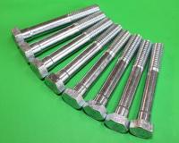 Head Bolt Set : 3.0