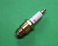 Spark Plug : Pinto