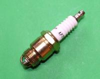Spark Plug : Pinto