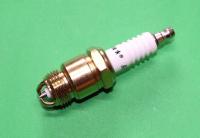 Spark Plug : Pinto