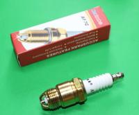 Spark Plug : Pinto