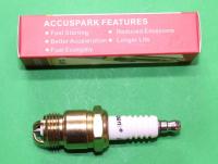 Spark Plug : Pinto