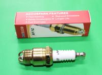 Spark Plug : Pinto