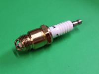 Spark Plug : Pinto